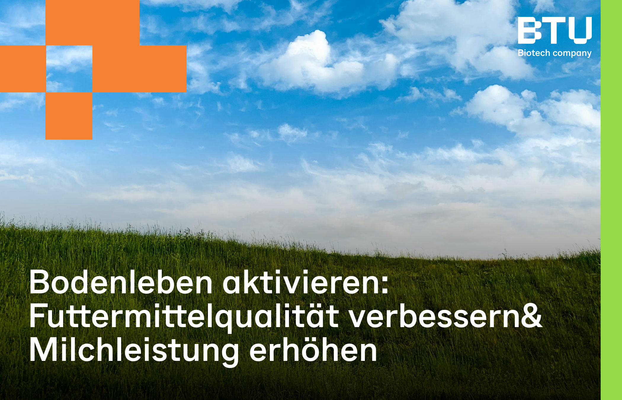 Ecostern® verbessert Qualität von Grünlandfutter